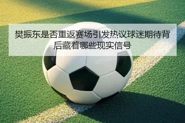 樊振东是否重返赛场引发热议球迷期待背后藏着哪些现实信号